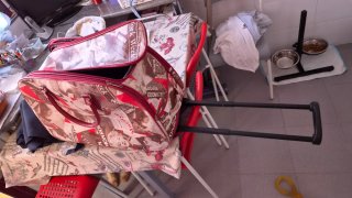 Maleta de viaje con ruedas y estampado
