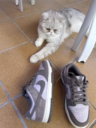 Zapatillas Nike Dunk Low Gris morado