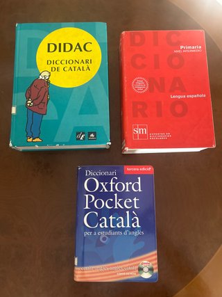 Diccionarios escolares
