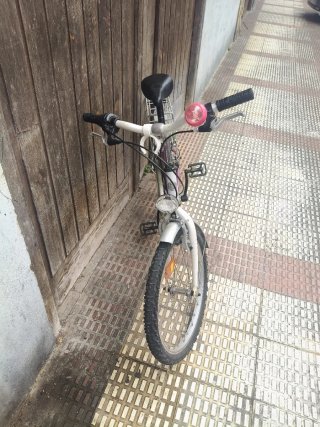 Bicicleta de paseo plateada