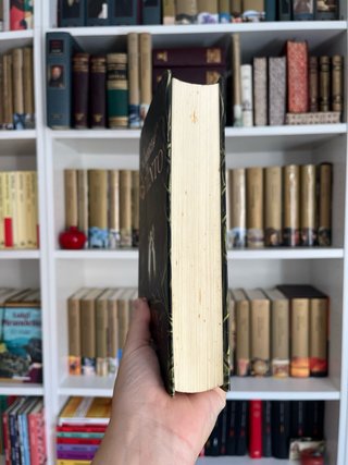 El nombre del viento. Patrick Rothfuss