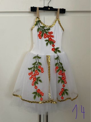 Vestidos Ballet