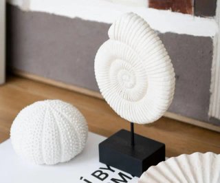Scultura in Cemento Ammonite