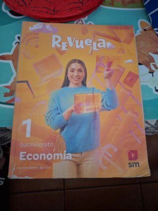 1 Bachillerato, Economía Revuela