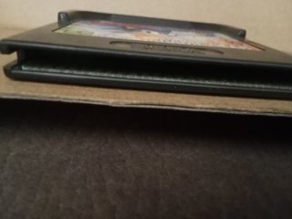 Sonic the Hedgehog Game Gear Sega