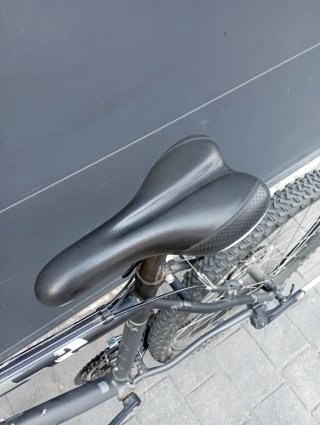 Bicicleta de Montaña
