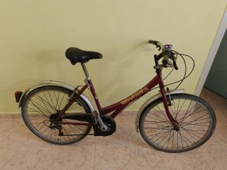 Bicicleta depaseo clásica
