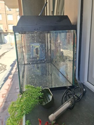 Pecera de cristal