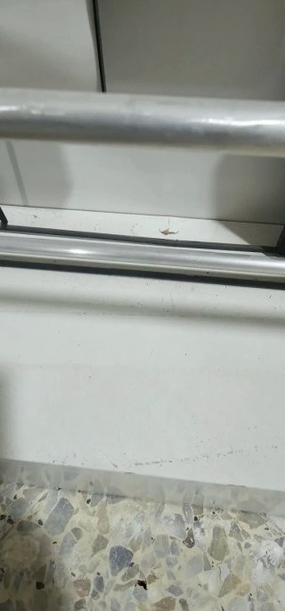 Zapatera Espejo Puerta Blanca Metálica