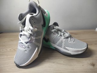 Botines Nike LeBron Witness VIII precio negociable