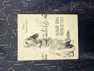 Lote de libros en ruso