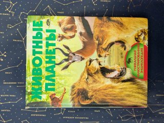 Lote de libros en ruso