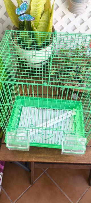 Jaula para pájaros verde