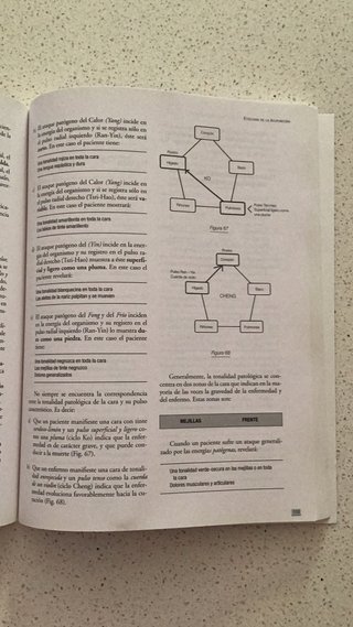 MEDICINA ENERGÉTICA. Acupuntura 1 Bases Fundame...
