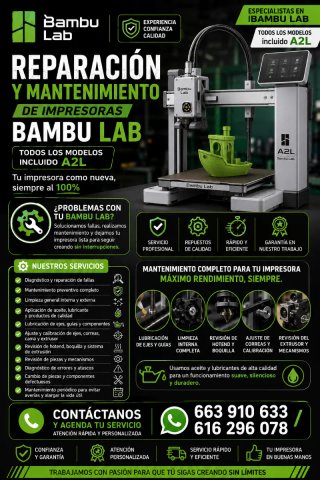 Servicio de Mantenimiento Bambulab.