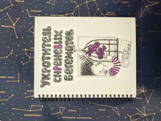 Lote de libros en ruso/Детские книги на русском