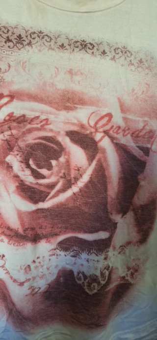 T-shirt ANNA PARINI viscosa stampa rosa
