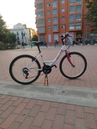 Bicicleta Denbike 24 Niños MTB