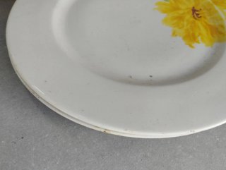 Lote de platos de cerámica y porcelana varios