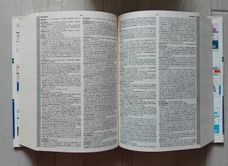 Dizionario inglese italiano