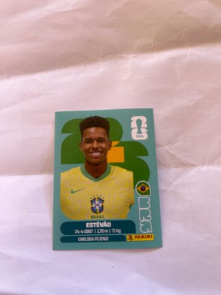 Cromo Mundial Estevao Brasil Panini