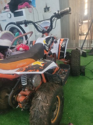 Quad eléctrico 1000W
