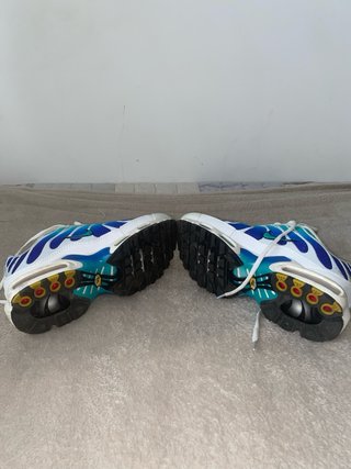 Nike TN Air Max Plus Azul/Verde