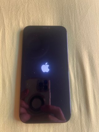 iPhone 12 Pro Max 256GB Azul