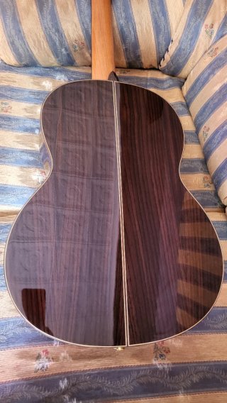 Guitarra OS1MAX Amplificada