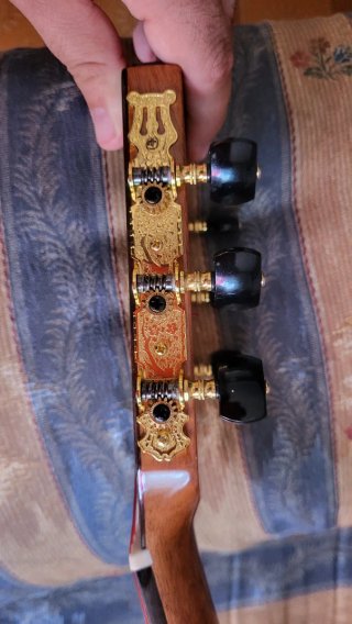 Guitarra OS1MAX Amplificada