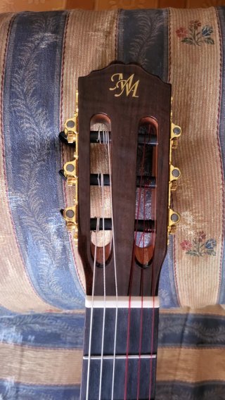 Guitarra OS1MAX Amplificada