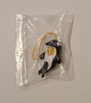 Disney Winnie the Pooh Animal Wear 8 Ocean