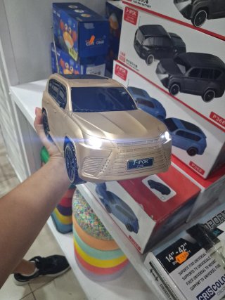 Coche teledirigido J-POK P368