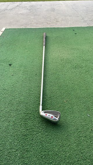 Bolsa de golf