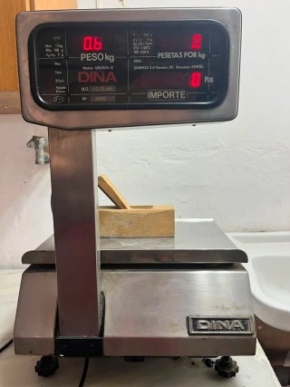 Báscula electrónica DINA Argenta-12
