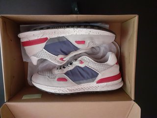 Zapatilla deportiva Antony Morato gris + azul rojo