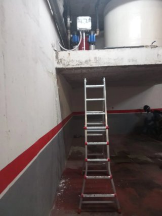 todoservicios rincon