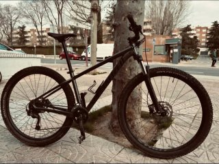 Bicicleta Specialized Rockhopper Comp M 29