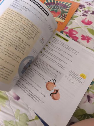 Lengua castellana y literatura puro teatro