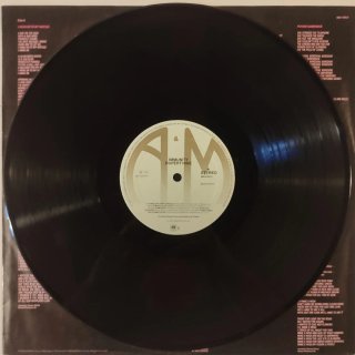 Vinilo Rupert Hine Immunity