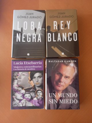LOTE DE 30 LIBROS