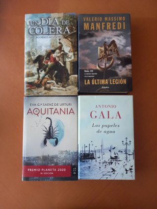 LOTE DE 30 LIBROS