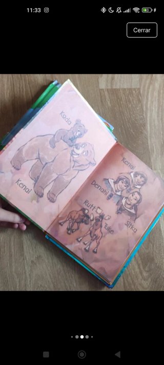 Libros Disney Varios
