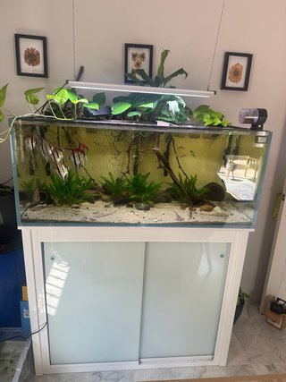 Acuario completo 360L