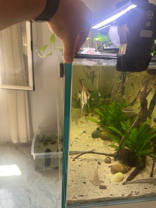 Acuario completo 360L