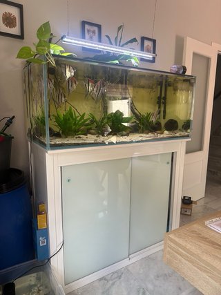 Acuario completo 360L