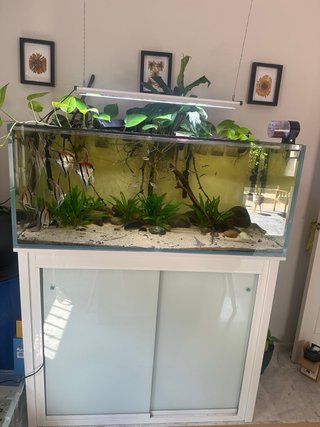 Acuario completo 360L