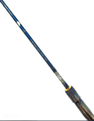 Caña Daiwa Crosscast 7'8-3/10 Rock Fishing