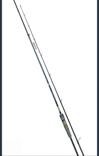 Caña Daiwa Crosscast 7'8-3/10 Rock Fishing