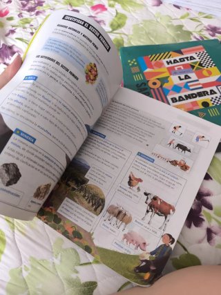 Ciencias Sociales 3, Segundo Ciclo Primaria, Ar...